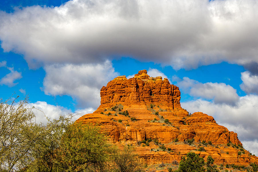 Majestic Bell Rock Photograph by Barbara Zahno