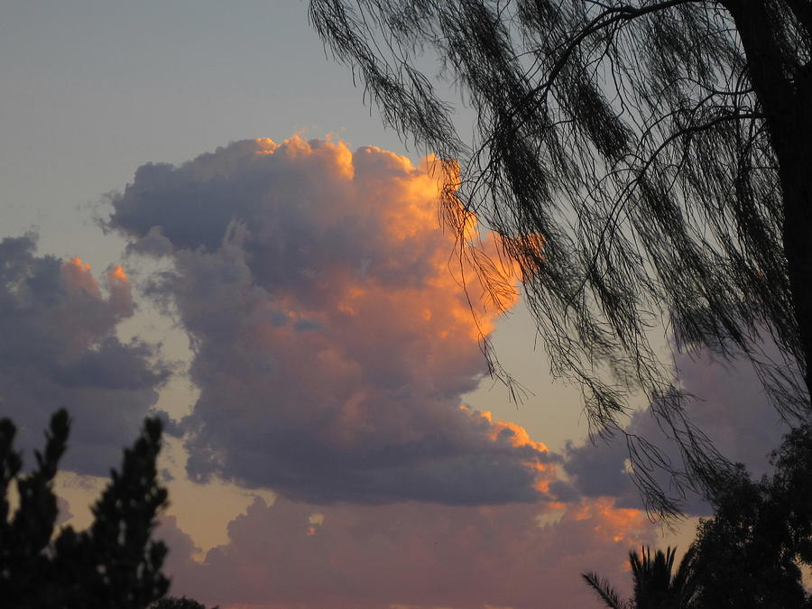 Majestic Billowing Cloud Photograph by Lessandra Grimley