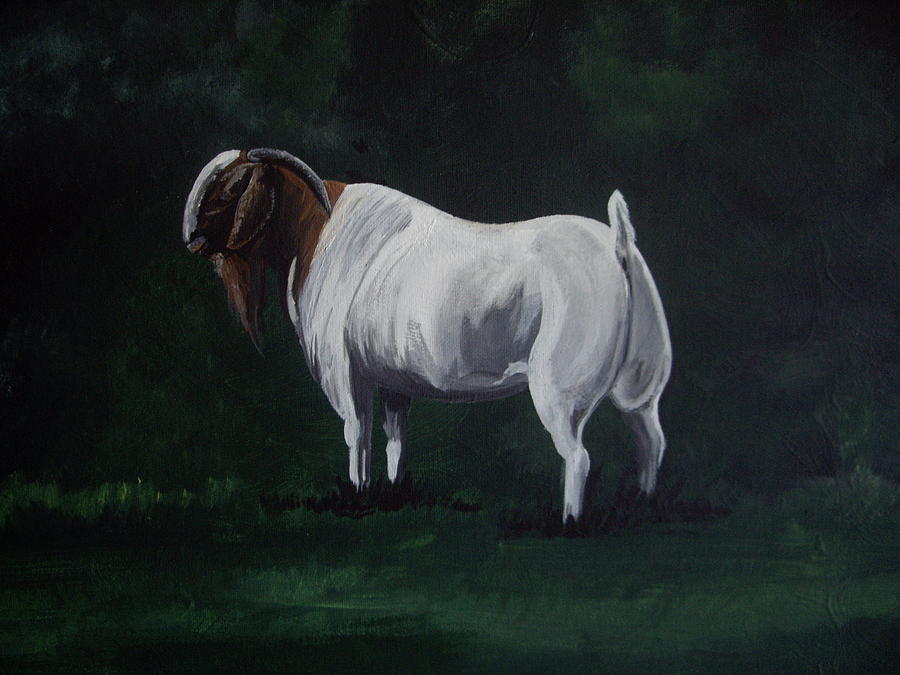 Goat Painting - Majestic Boer Buck by Glenda Smith