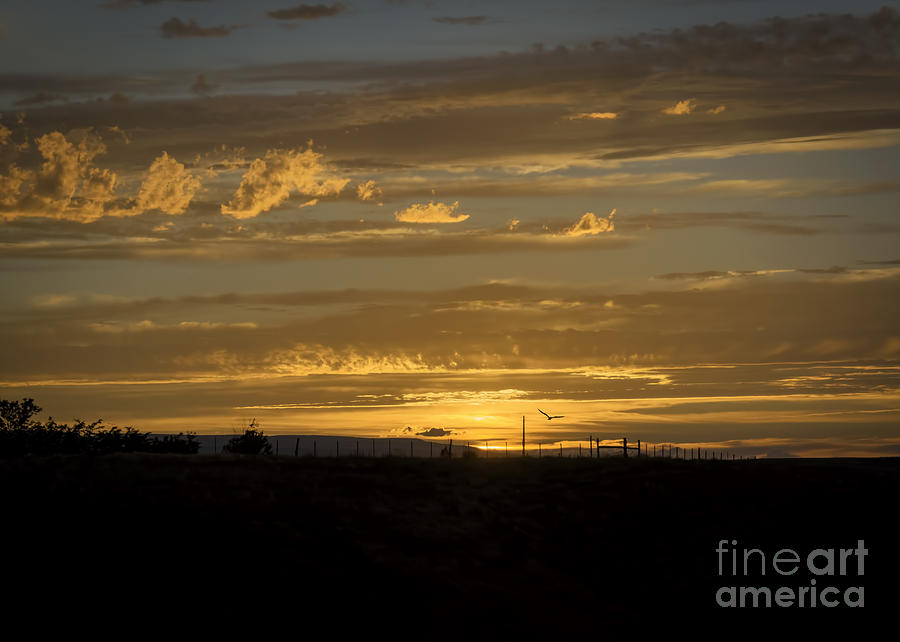 Majestic Colorado Mesa Sunset Photograph