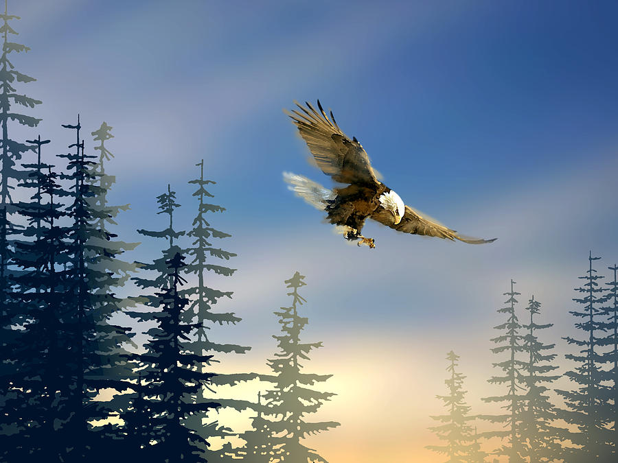 Tree Painting - Majestic Eagle by Paul Sachtleben