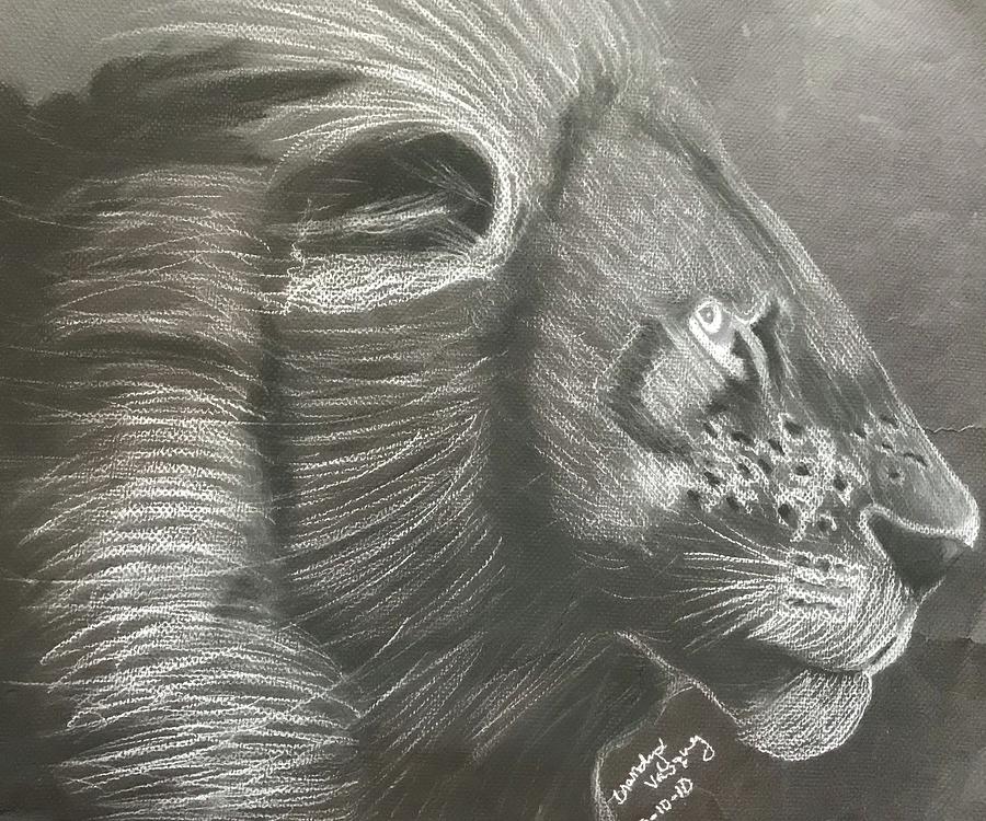 Majestic lion Drawing by Brandy Vasquez