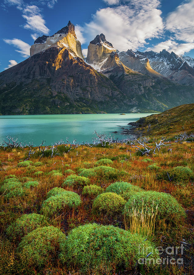 Mountain Photograph - Majestic Los Cuernos by Inge Johnsson