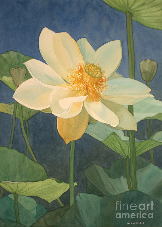 Majestic Lotus Painting by Jan Lawnikanis