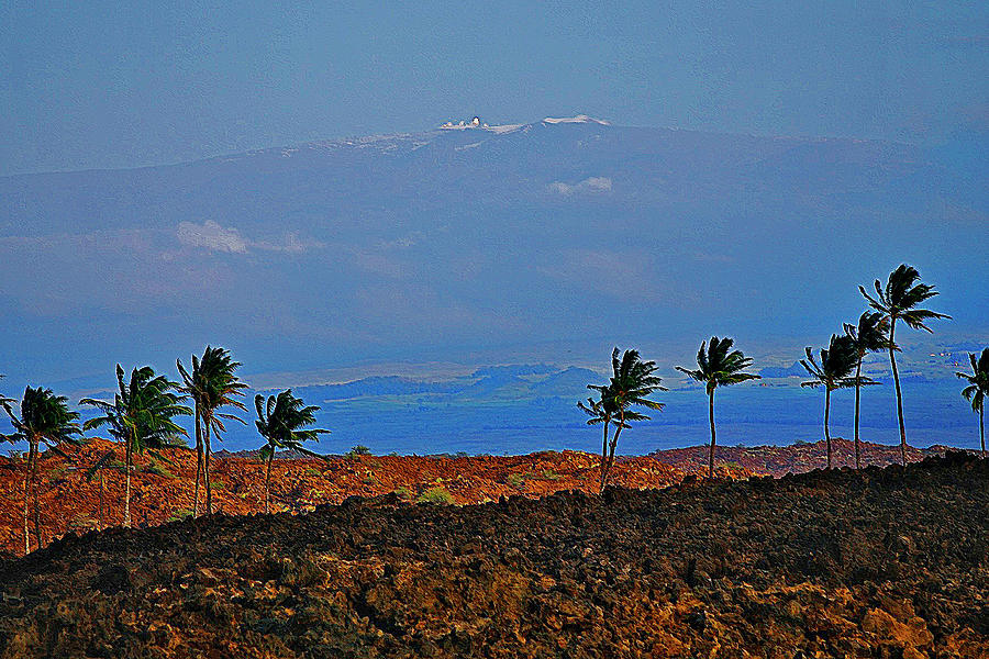 Majestic Mauna Kea Photograph by Bette Phelan