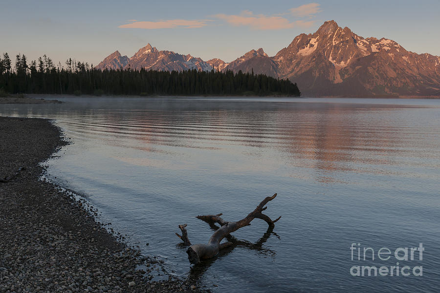 Mountain Photograph - Majestic Morning at Colter Bay by Sandra Bronstein