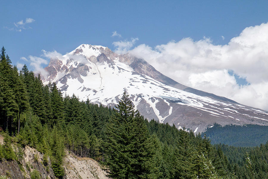 Majestic Mount Hood Photograph by Sharon Horn - Fine Art America