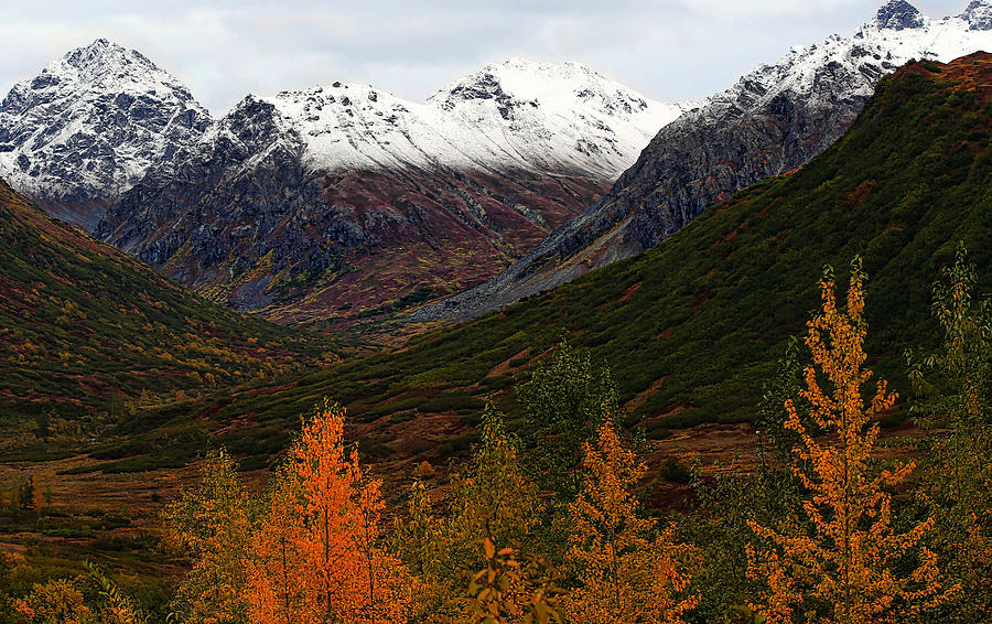 Majestic Mountains of Alaska Photograph by Kristina Kruchowski - Fine 