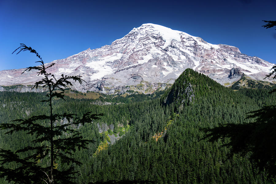 Washington State Photograph - Majestic Mt. Rainier by Melinda Conner