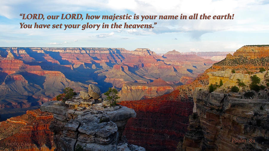 Grand Canyon National Park Photograph - Majestic Name by Atul Daimari