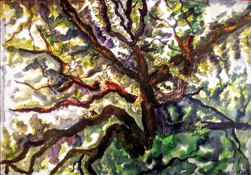 Majestic Oak Painting by Angela Weddle