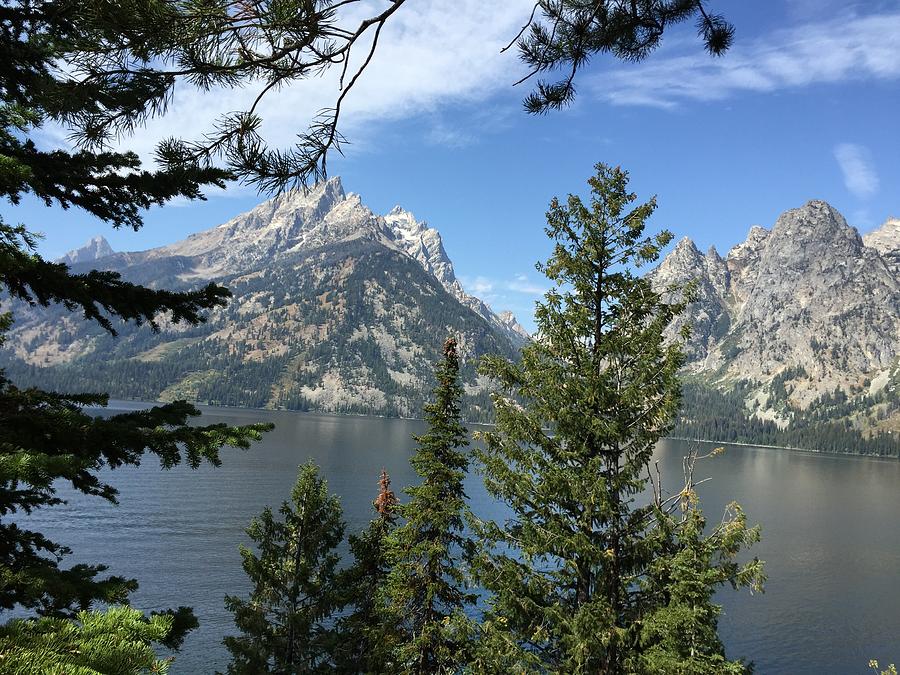 Majestic Peaks and Pines Photograph by Pamela J Bennett