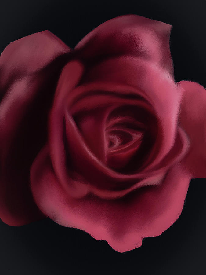 Large Majestic Pink Rose Digital Art by Michele Koutris