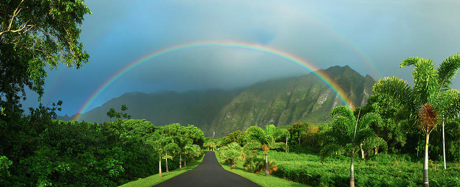 Majestic Rainbow Photograph by Sean Davey
