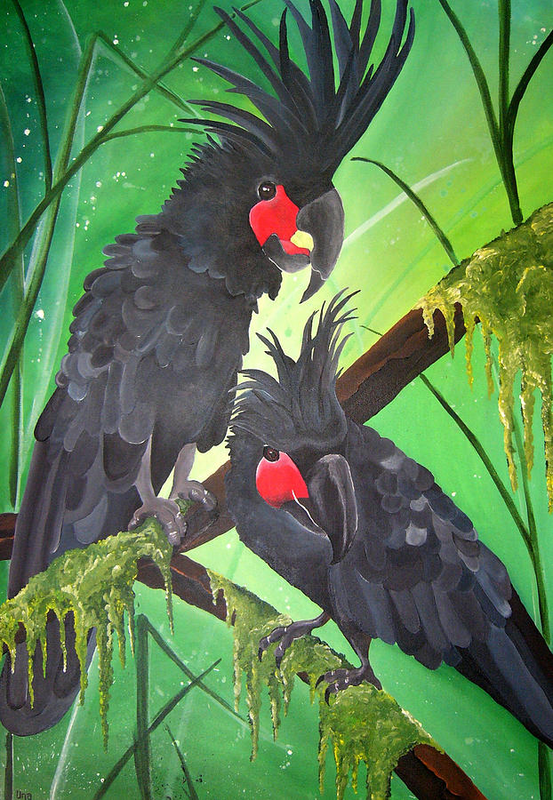 Bird Painting - Majestic Red Cheek Black Palm Cockatoos by Una  Miller