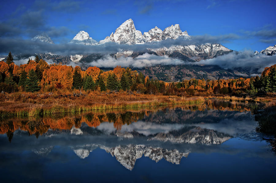 Majestic Reflection Photograph by Ken Smith