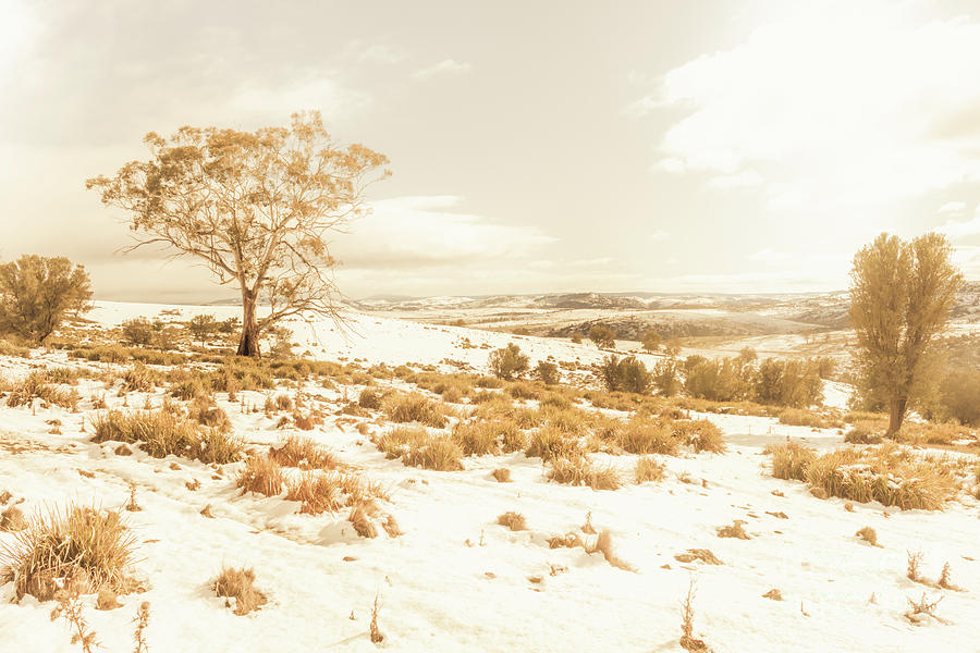 Majestic scenes from snowy Tasmania Photograph by Jorgo Photography