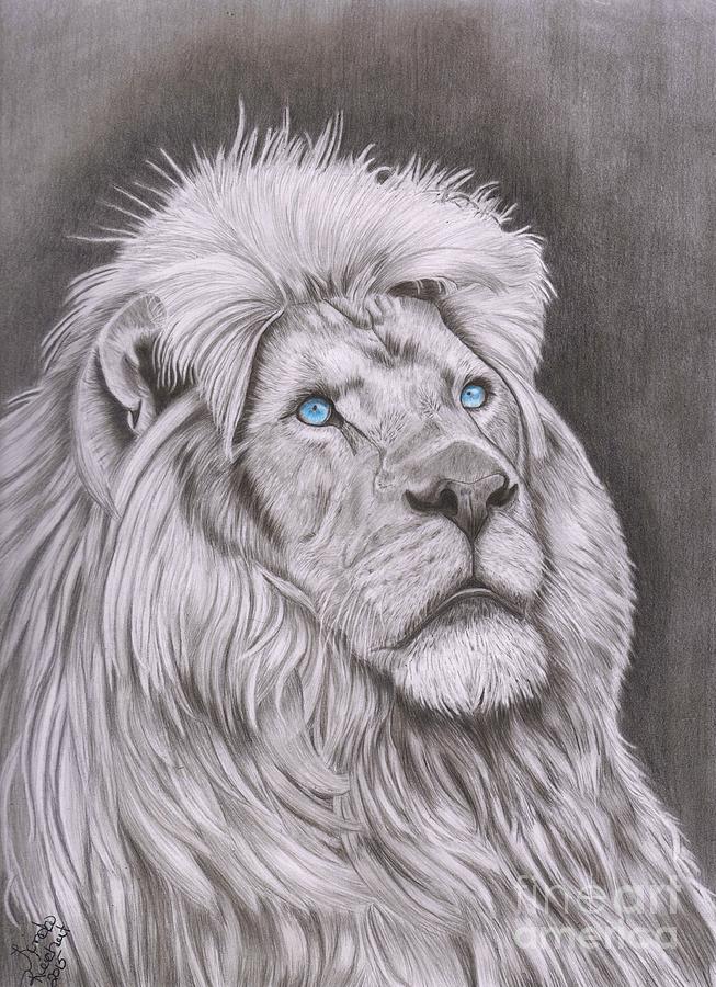 Majestic Strength Drawing by Linda Reichert