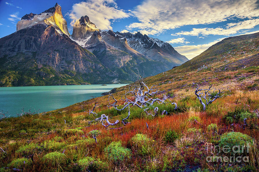 Majestic Torres del Paine Photograph by Inge Johnsson