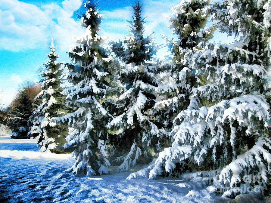 Winter Photograph - Majestic Winter In New England  by Judy Palkimas