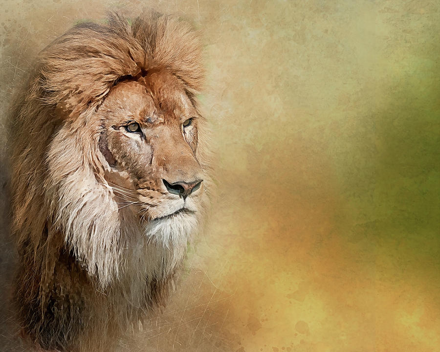 African Lion Photograph - Majesty by Brian Tarr