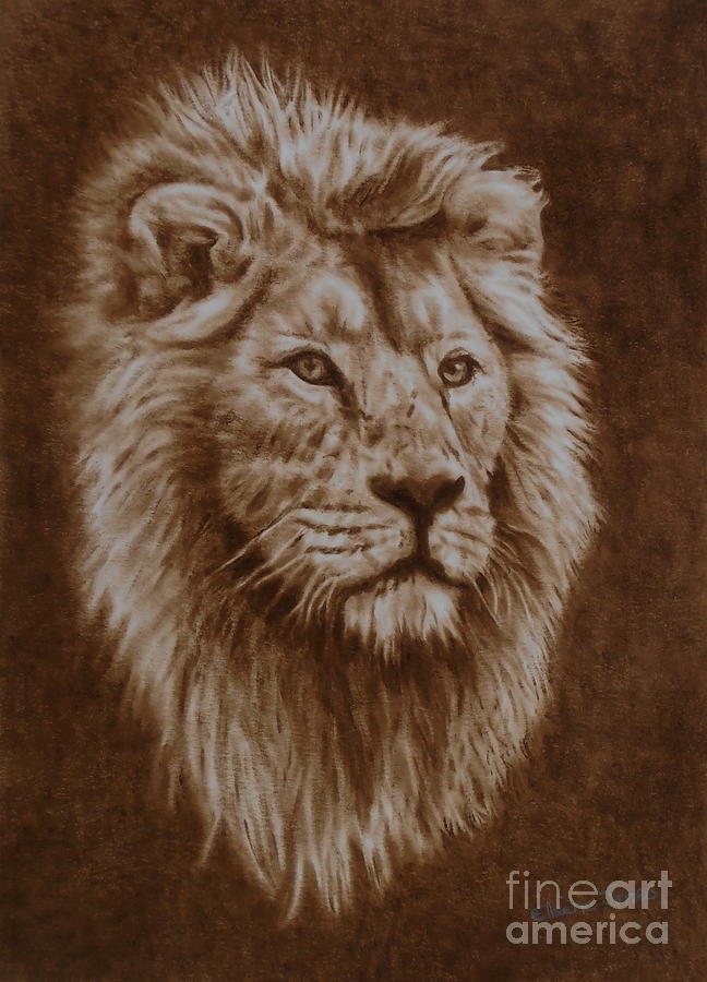 Lion Painting - His Majesty by Elaine Jones
