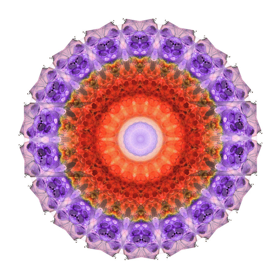 Majesty Mandala Art by Sharon Cummings Painting by Sharon Cummings