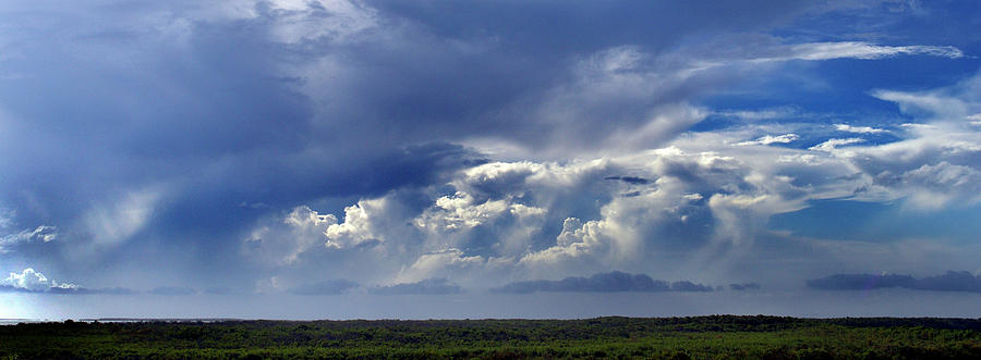 Majesty That Is The Everglades Photograph by Skip Willits