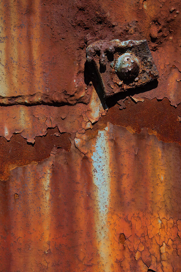 Major Rust Photograph by Karol Livote
