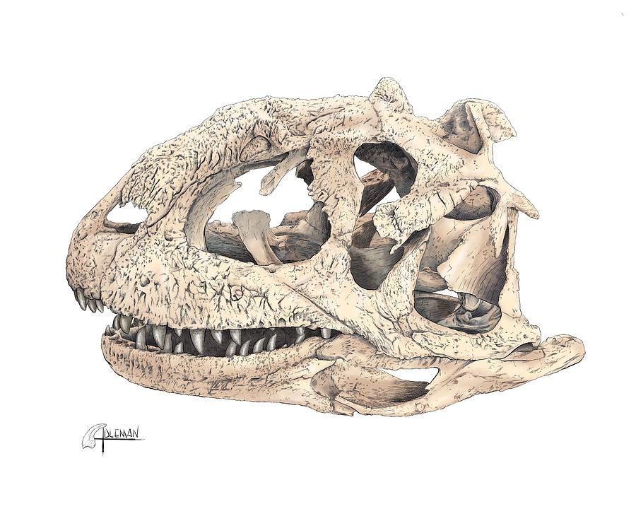 Majungasaur Skull Digital Art by Rick Adleman