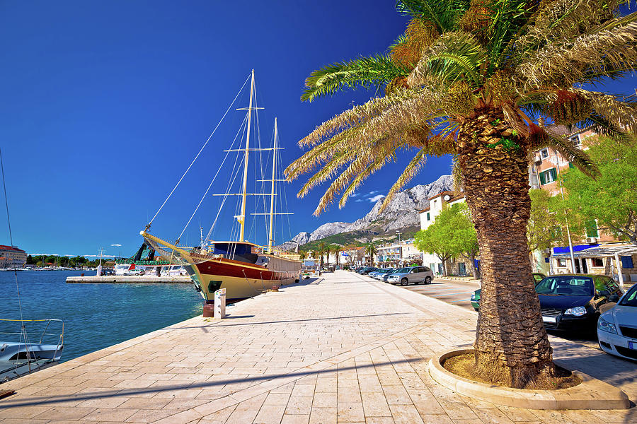 Makarska palm waterfront colorful view Photograph by Brch Photography