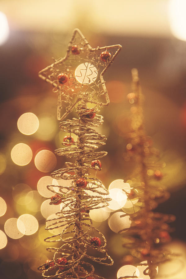 Christmas Photograph - Make a Wish by Toni Hopper