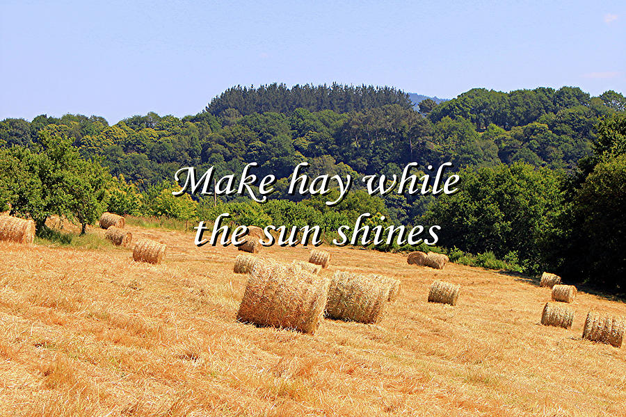make-hay-while-the-sun-shines-el-camino-