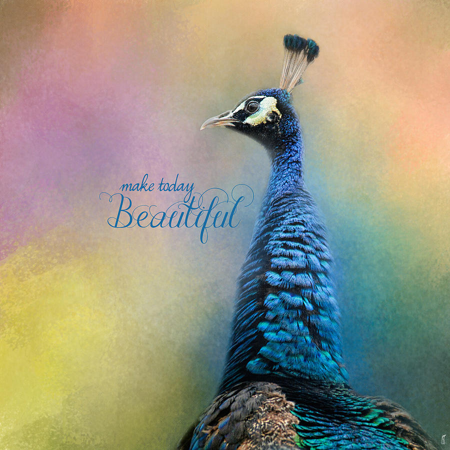 Make Today Beautiful - Peacock Art Photograph by Jai Johnson