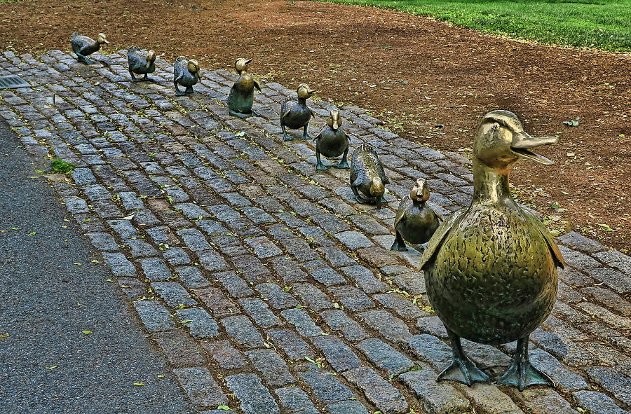Make Way For Ducklings # 2 - Boston Photograph by Allen Beatty