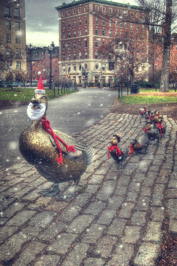 Make Way for Ducklings 2 - Boston Public Garden Photograph by Joann Vitali