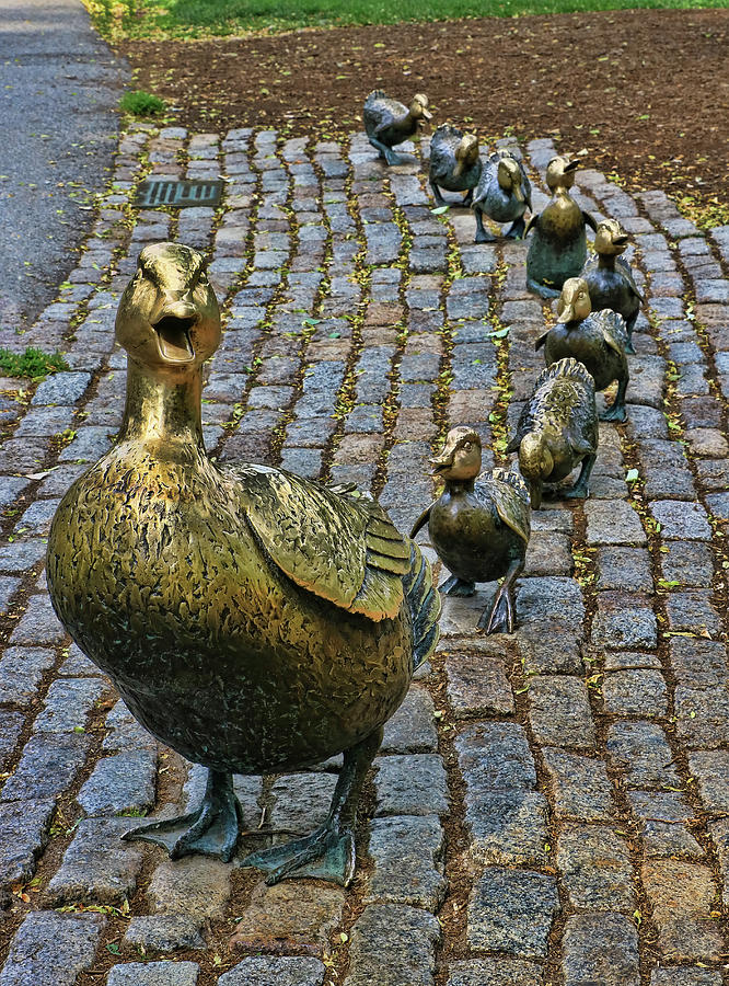 Make Way For Ducklings # 1 - Boston Photograph by Allen Beatty