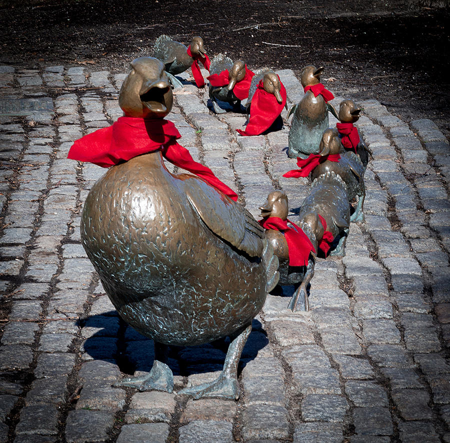 Make Way For Ducklings, Boston Massachusetts Photograph