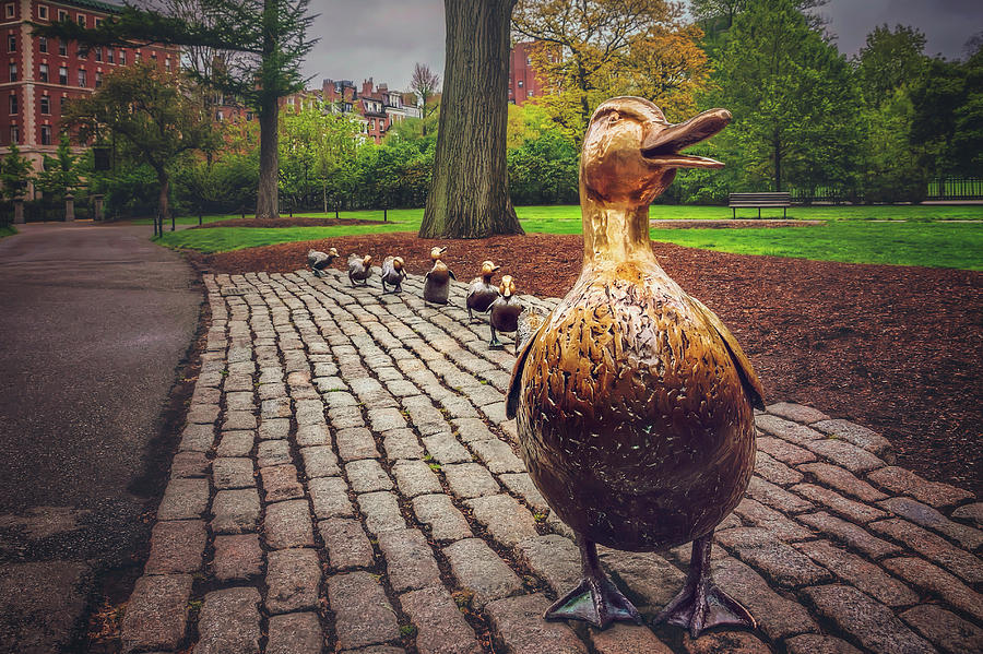 Make Way For Ducklings in Boston by Carol Japp Make Way For Ducklings in Boston by Carol Japp