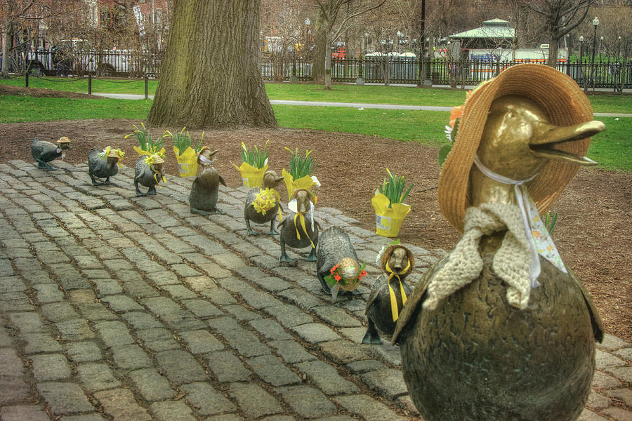 Make Way For Ducklings in Spring Bonnets - Boston Photograph by Joann Vitali