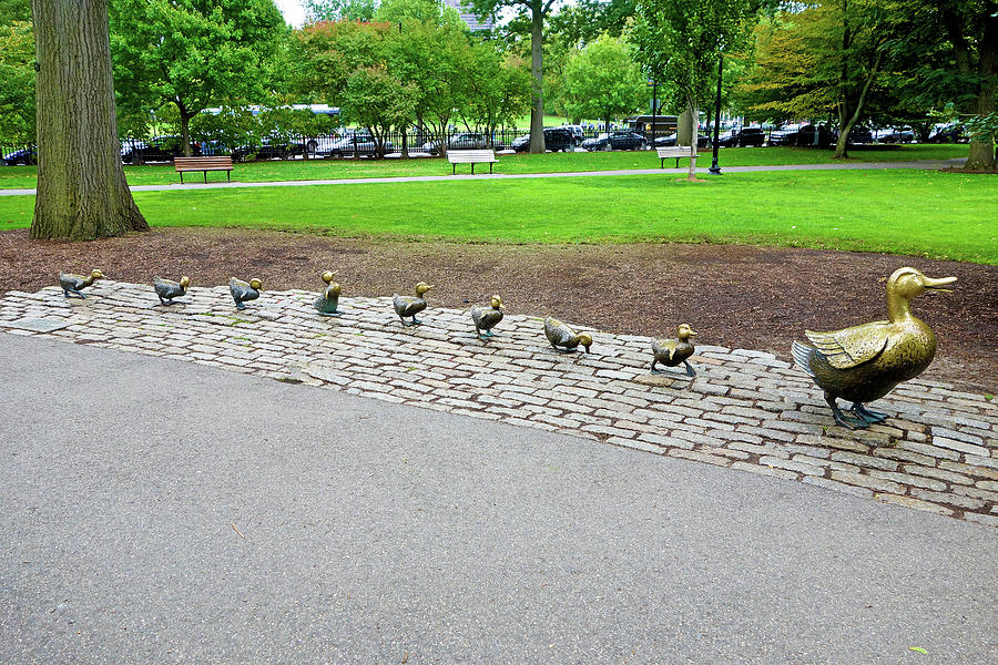 Boston Photograph - Make Way for Ducklings Study 2 by Robert Meyers-Lussier