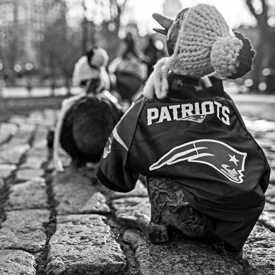 Make Way For Ducklings supporting the Patriots- Boston Public Garden Boston MA Black and White Photograph by Toby McGuire