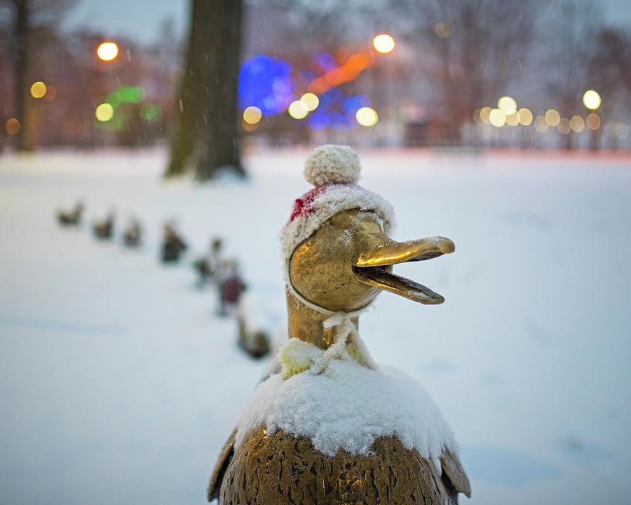 Make Way for Ducklings Winter Hats Boston Public Garden Christmas Photograph by Toby McGuire