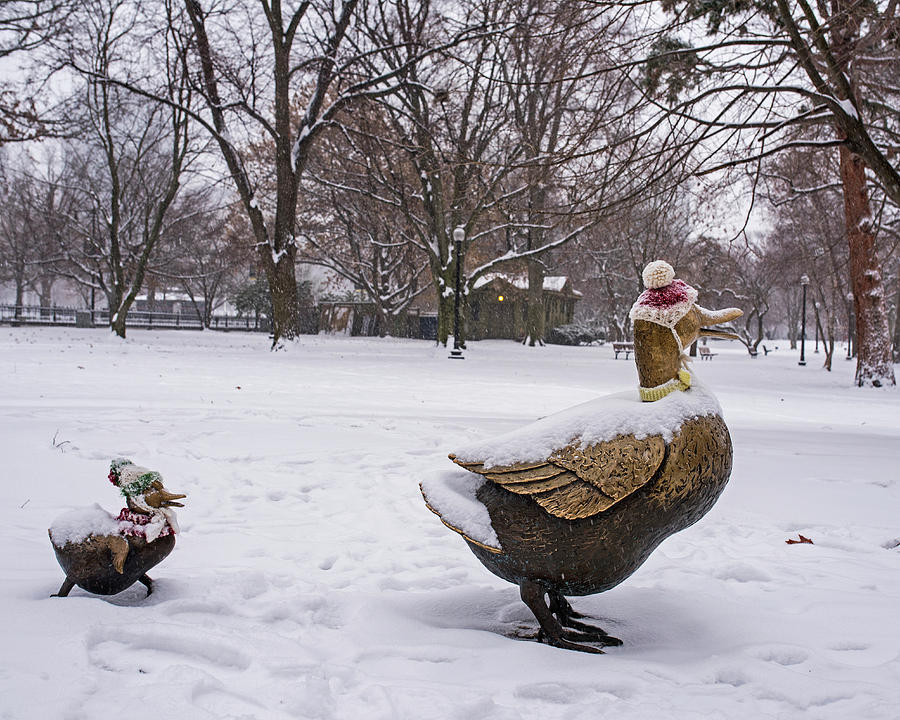 Make Way for Ducklings Winter Hats Boston Public Garden Photograph by Toby McGuire