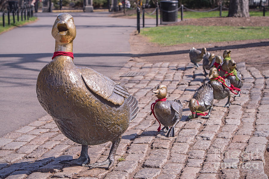 Boston Photograph - Make Way for the Ducklings by Jerry Fornarotto