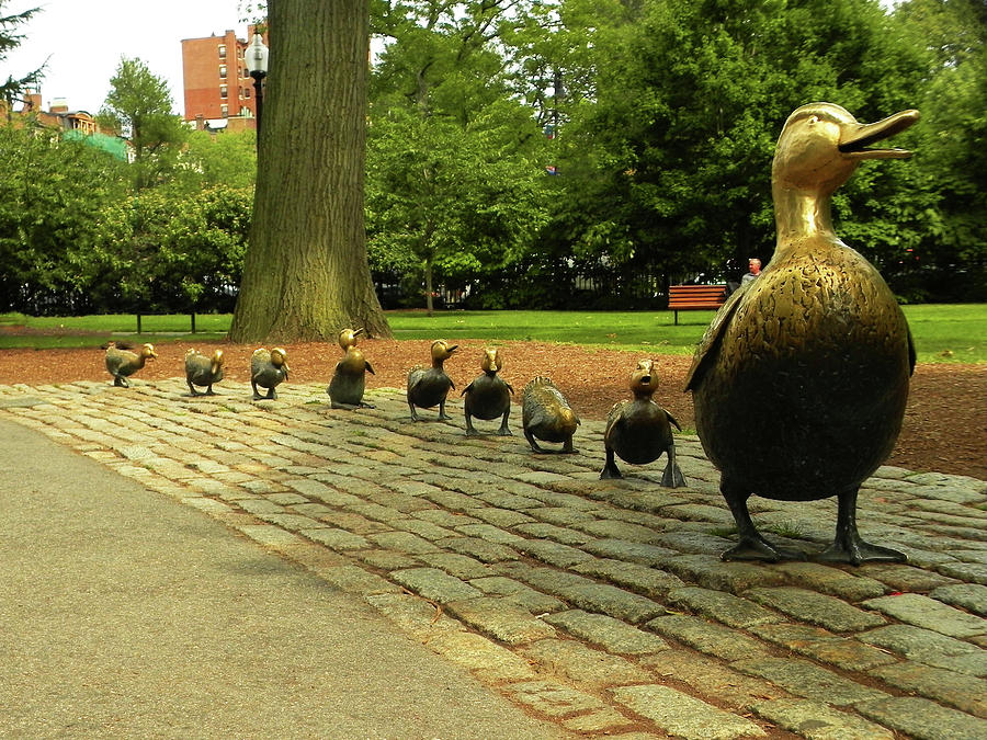 Make Way For The Ducklngs Photograph by Kathleen Moroney