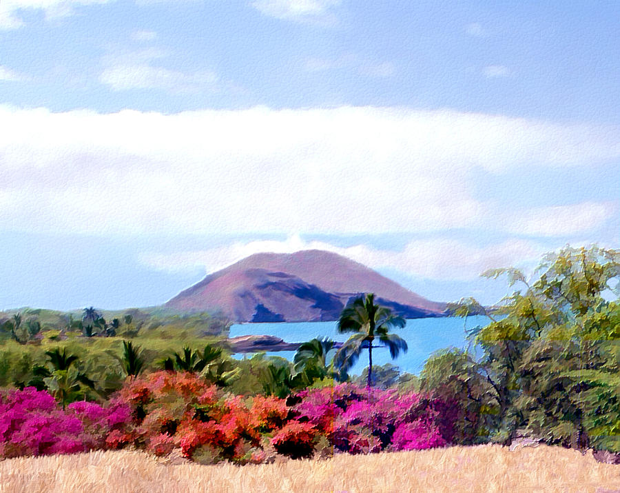 Makena Maui Photograph by Kurt Van Wagner