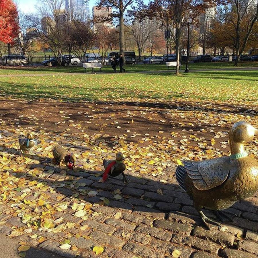 Boston Photograph - #makewayforducklings #statues #boston by Patricia And Craig