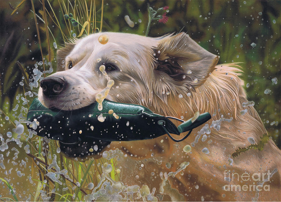 Making a Splash by Karie-Ann Cooper Making a Splash by Karie-Ann Cooper