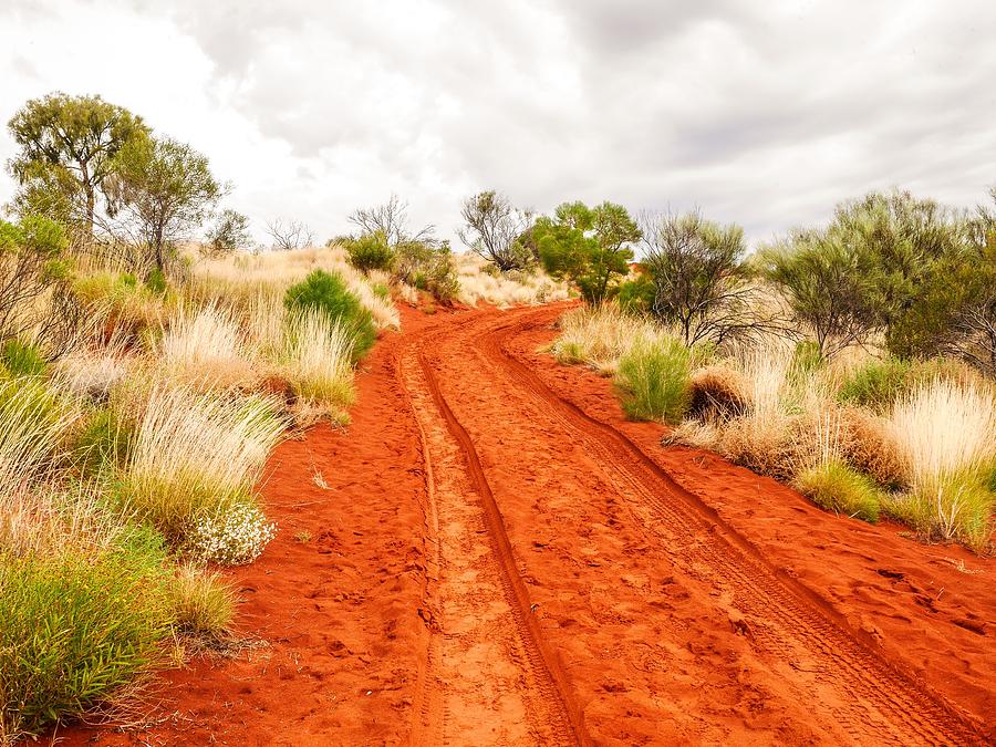 Making Tracks - Red Centre, Australia Photograph by Lexa Harpell